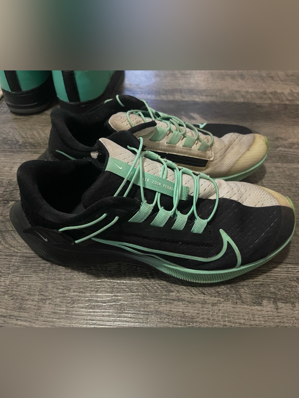 Nike Women's Air Zoom Pegasus EasyOn